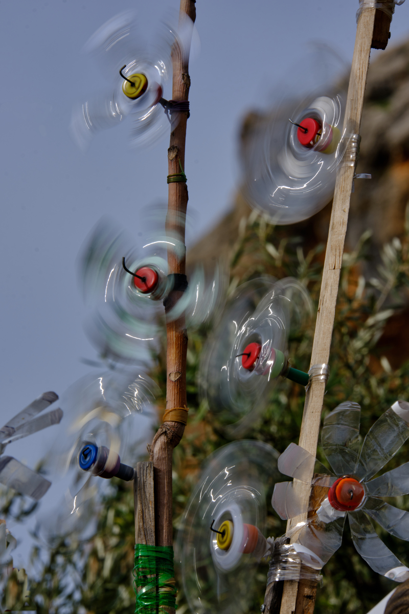 2025. FEBRERO. TEMA: 